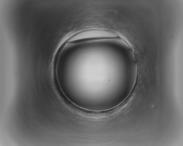 X0000111820008200908061144