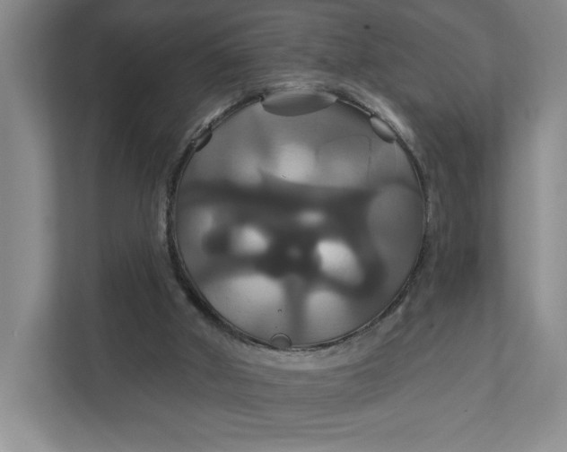 X0000111820010200908061144