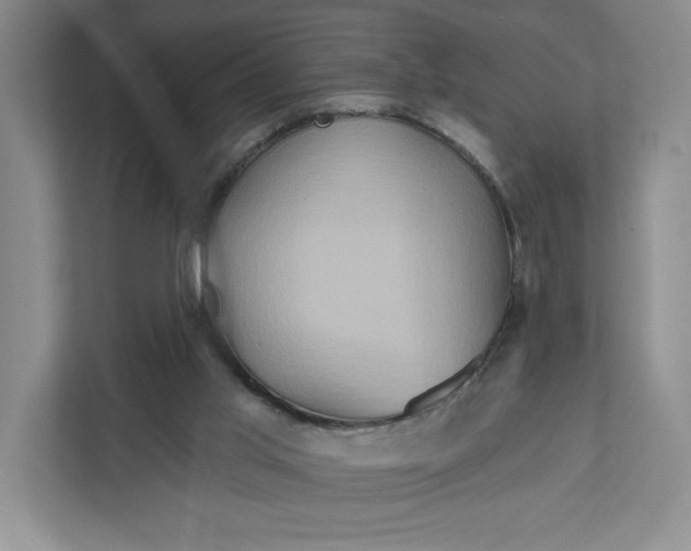 X0000111820013200908061144