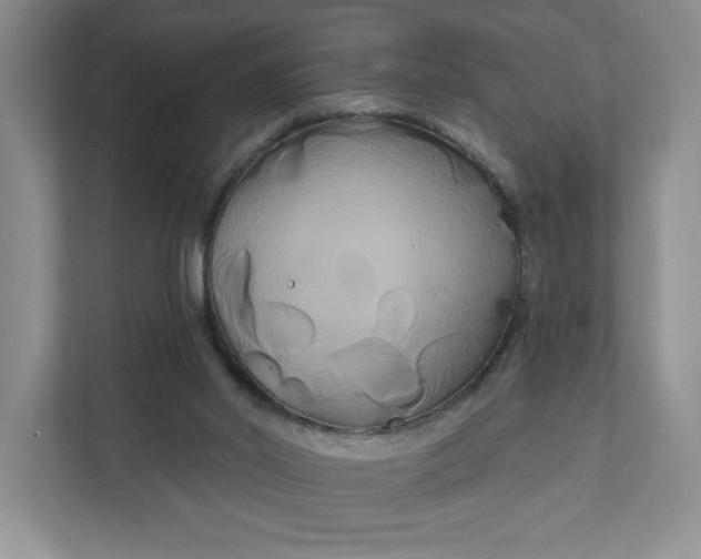 X0000111820014200908061144