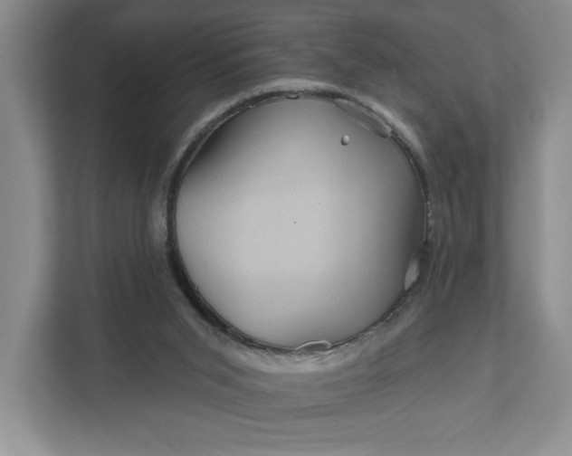 X0000111820015200908061144