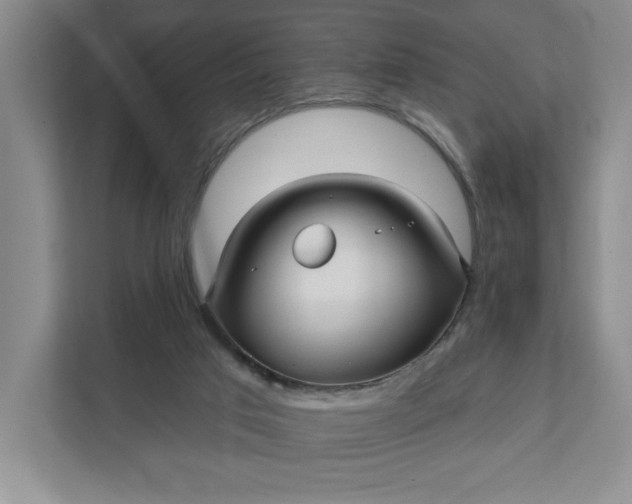 X0000111820017200908061144