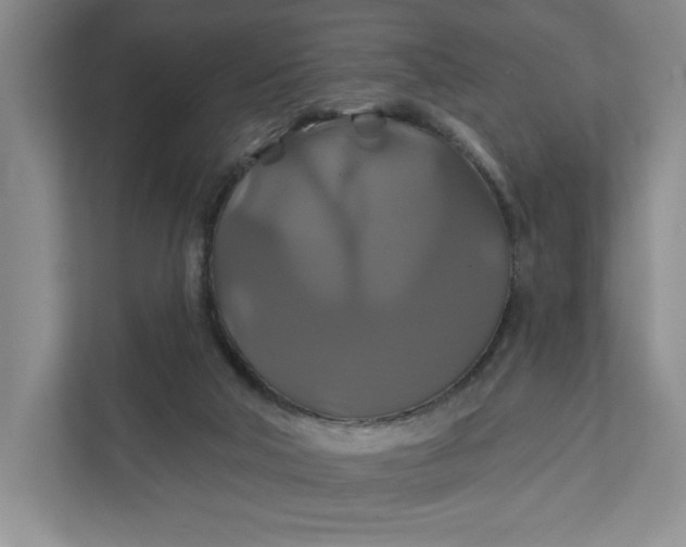 X0000111820018200908061144