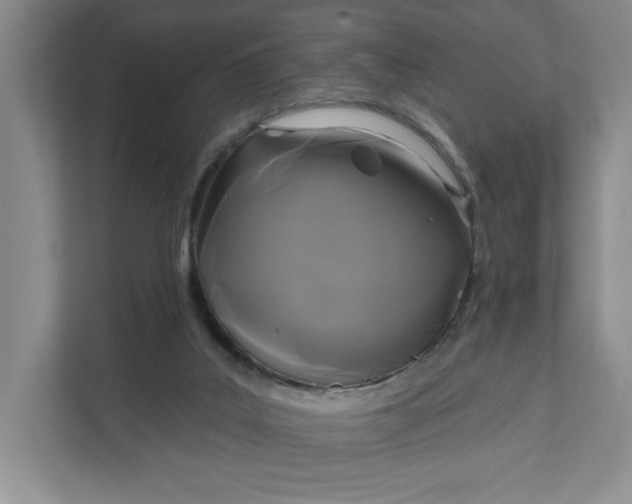 X0000111820019200908061144