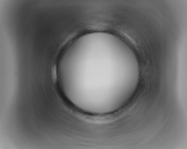 X0000111820020200908061144