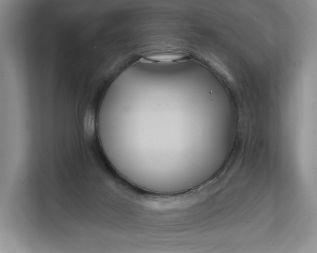 X0000111820021200908061144