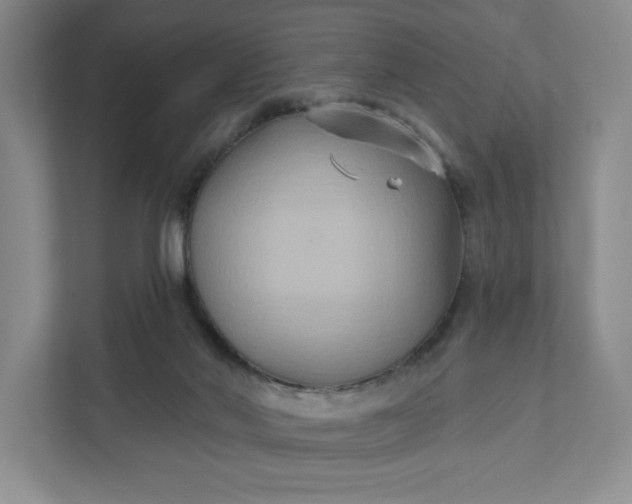 X0000111820022200908061144