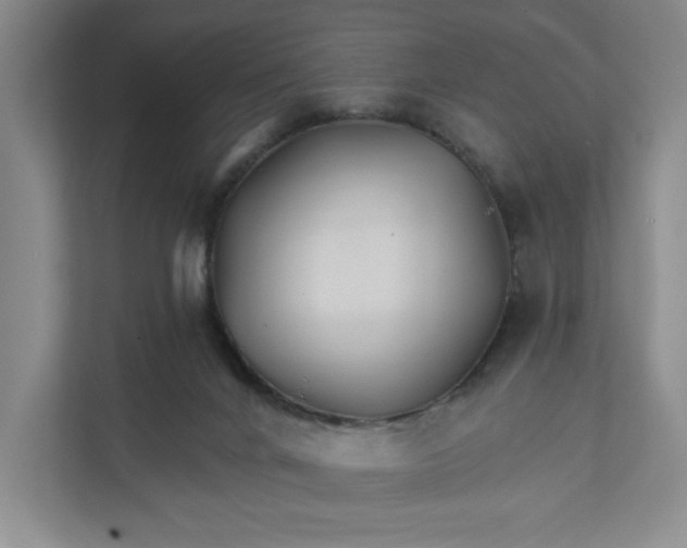 X0000111820024200908061144