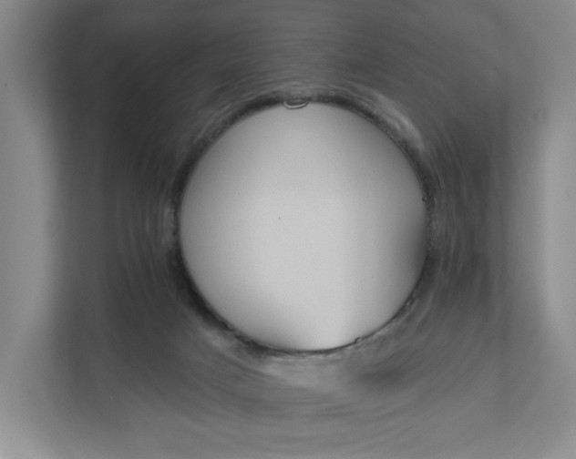 X0000111820025200908061144