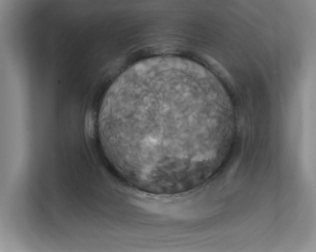 X0000111820026200908061144