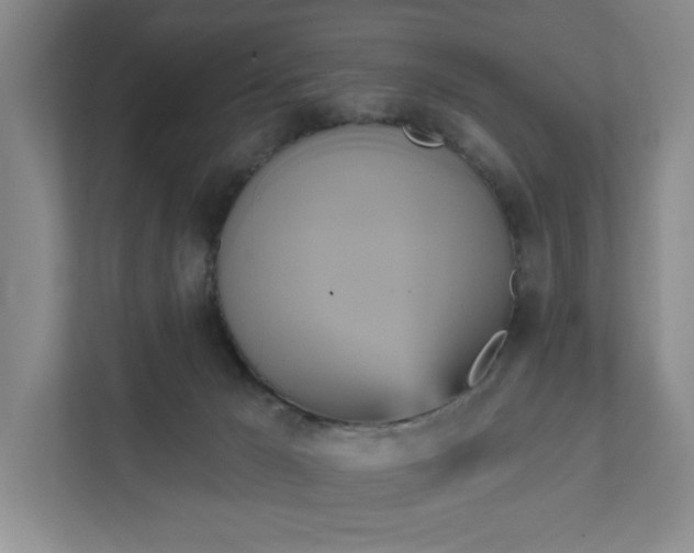 X0000111820029200908061144