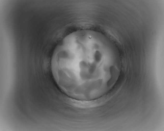 X0000111820034200908061144