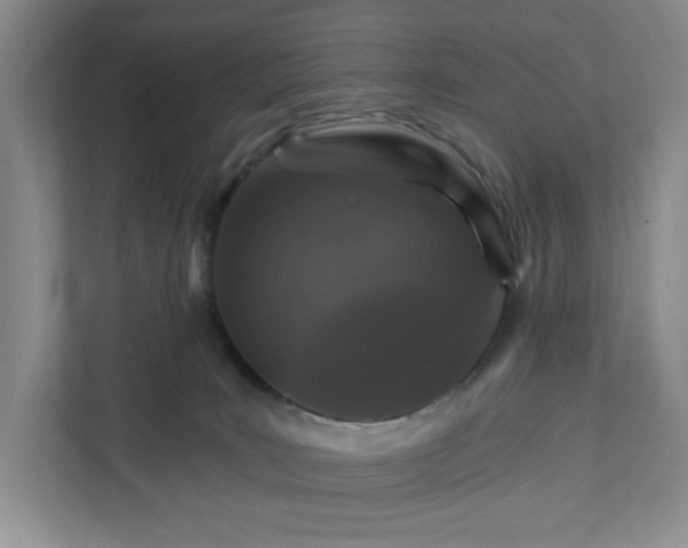 X0000111820035200908061144