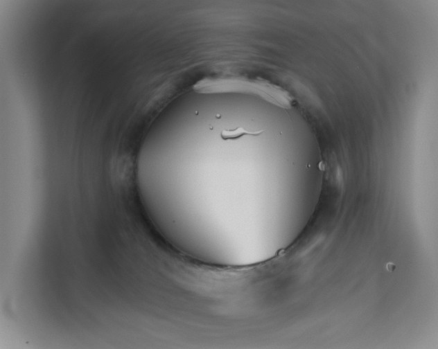 X0000111820036200908061144