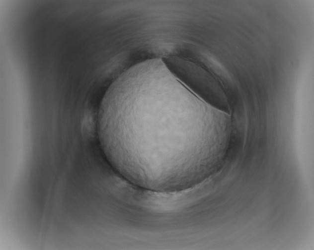 X0000111820037200908061144