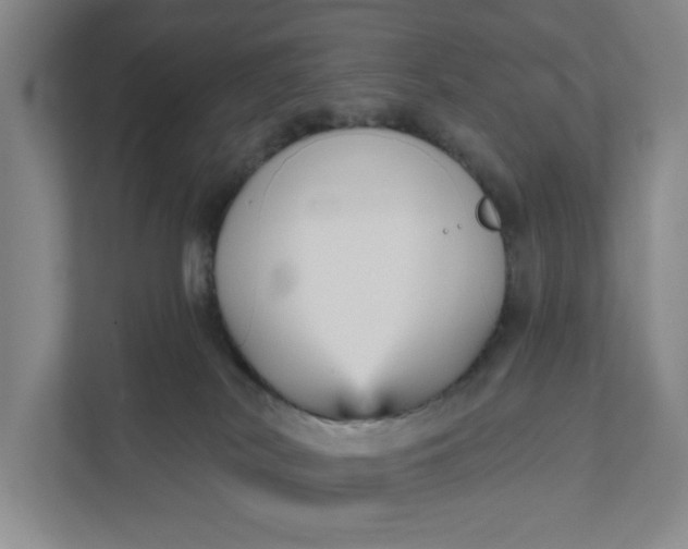 X0000111820038200908061144