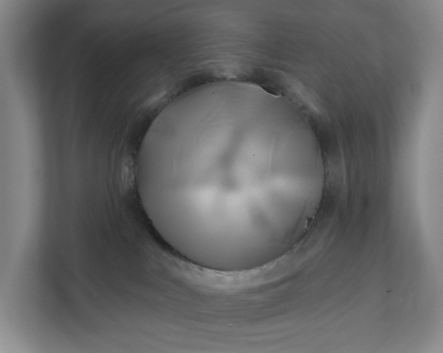 X0000111820043200908061144