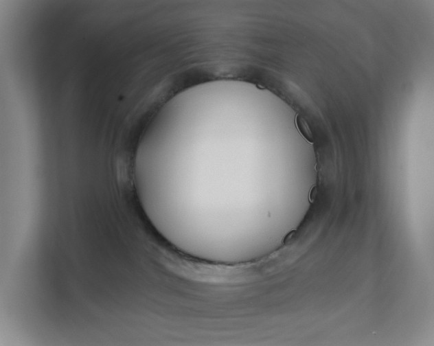 X0000111820044200908061144