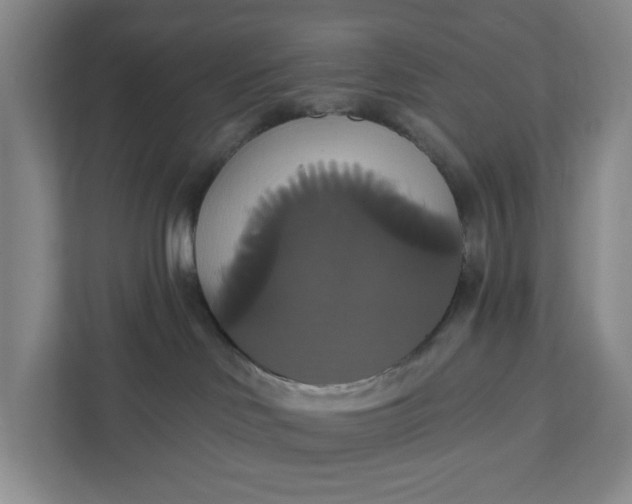 X0000111820046200908061144