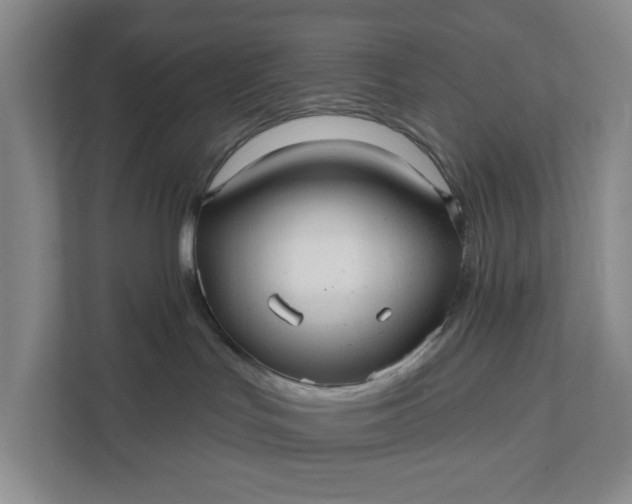 X0000111820047200908061144