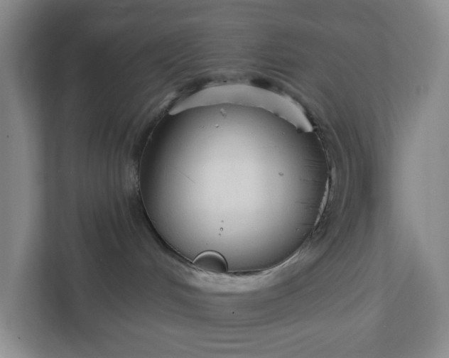 X0000111820048200908061144