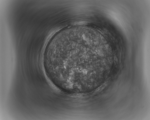 X0000111820049200908061143