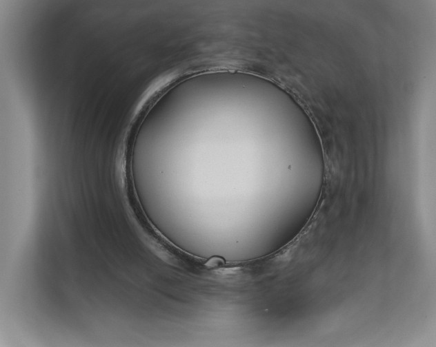 X0000111820054200908061143