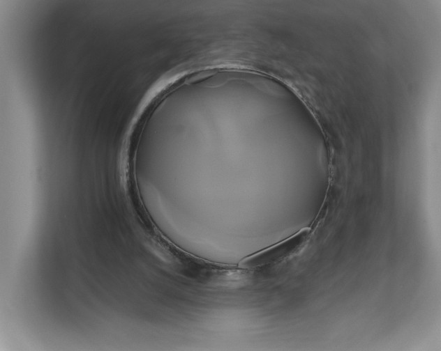 X0000111820056200908061143