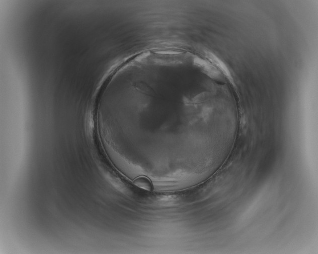 X0000111820059200908061143