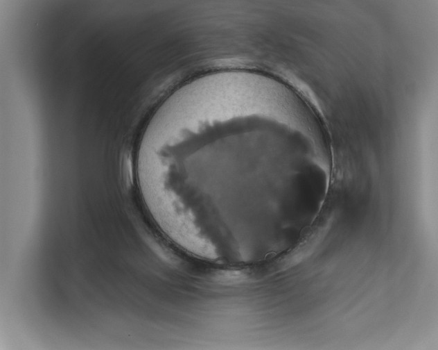 X0000111820061200908061144