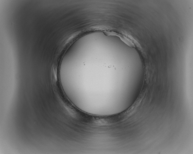 X0000111820062200908061144