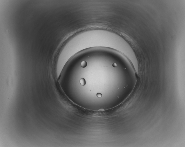 X0000111820064200908061144