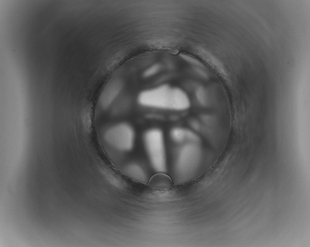 X0000111820065200908061144