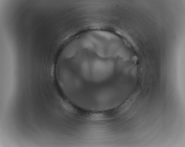 X0000111820066200908061144