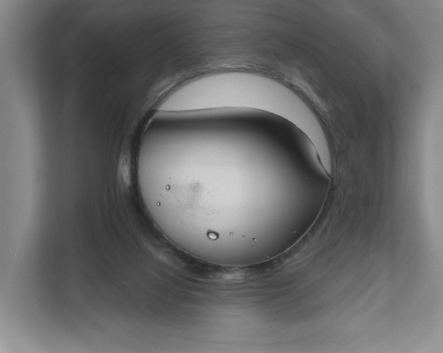 X0000111820068200908061144