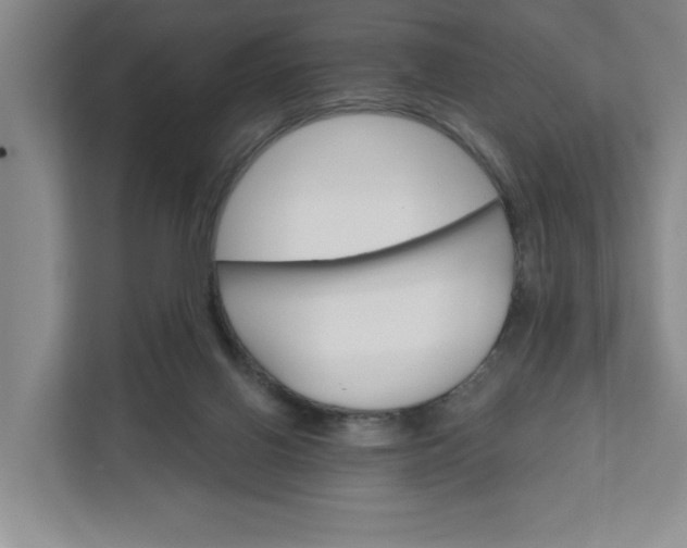 X0000111820070200908061144