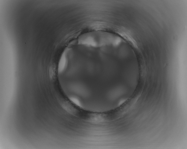 X0000111820073200908061144