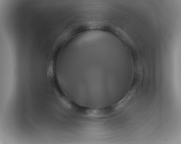 X0000111820074200908061144