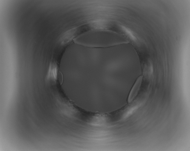 X0000111820076200908061144