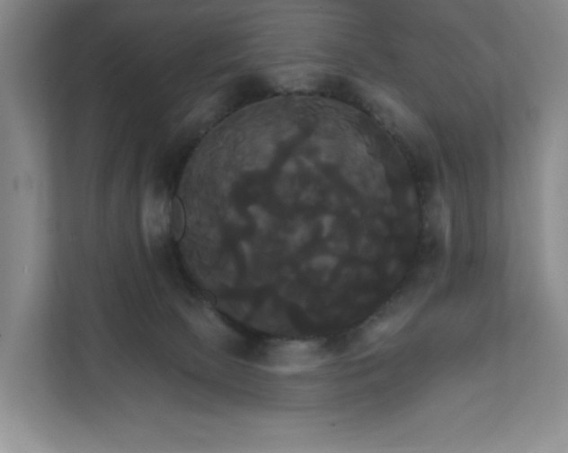 X0000111820081200908061144