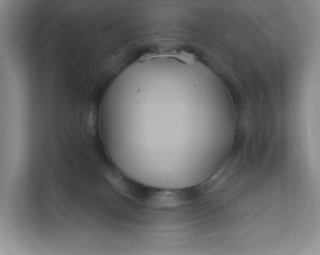 X0000111820082200908061144