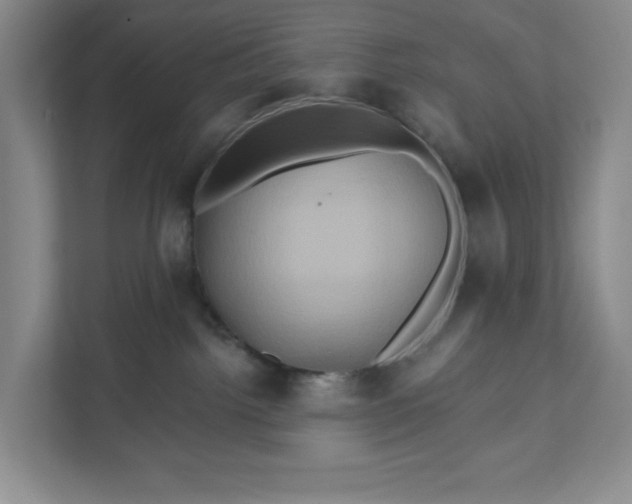 X0000111820092200908061144