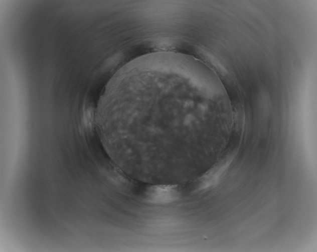 X0000111820093200908061144