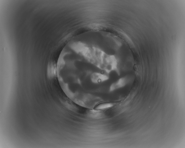 X0000111820095200908061144