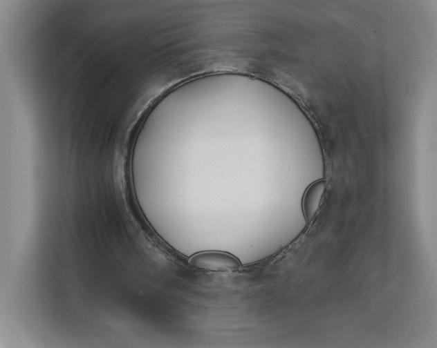 X0000111820098200908061143