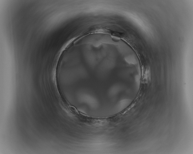 X0000111820099200908061143