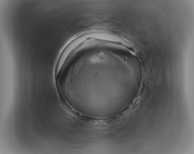 X0000111820100200908061143