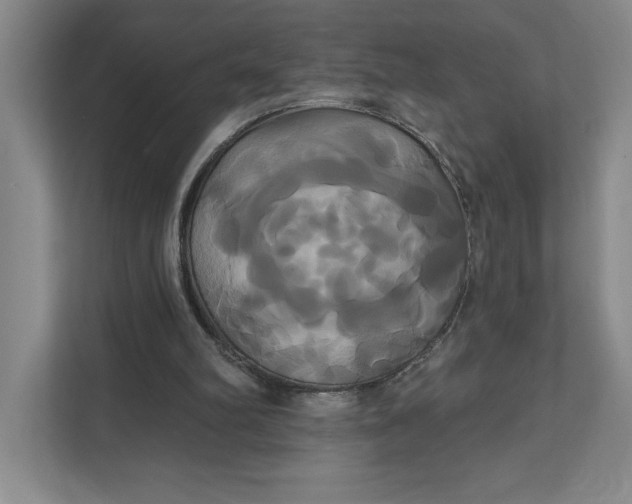 X0000111820102200908061143