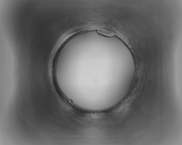 X0000111820103200908061143