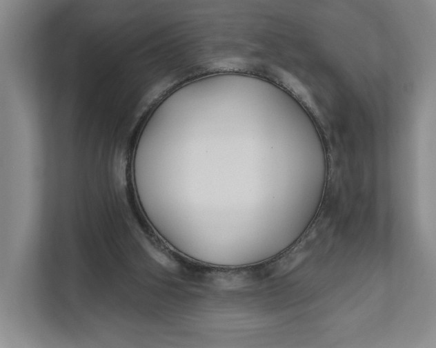 X0000111820106200908061143